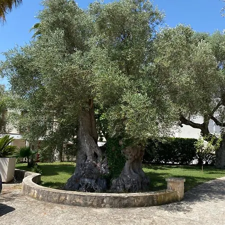 Bianca Country 4* Ostuni