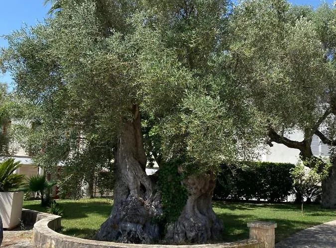Citta Bianca Country 4* Ostuni