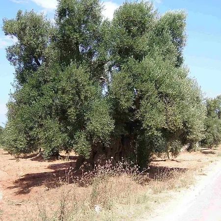 Citta Bianca Country Ξενοδοχείο