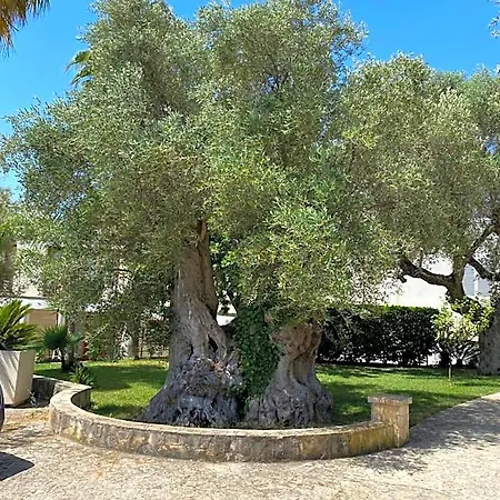Ξενοδοχείο Citta Bianca Country 4*